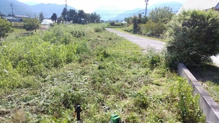 IMG_20190803_145200.jpg