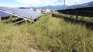 IMG_20190912_144330.jpg