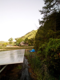 IMG_20200513_070222_2.jpg